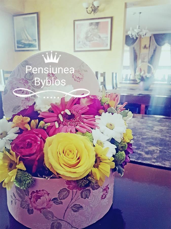 Pensiunea Byblos Piatra Neamţ Extérieur photo